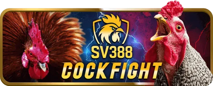 Các bước cài đặt và đăng nhập ko66 app
